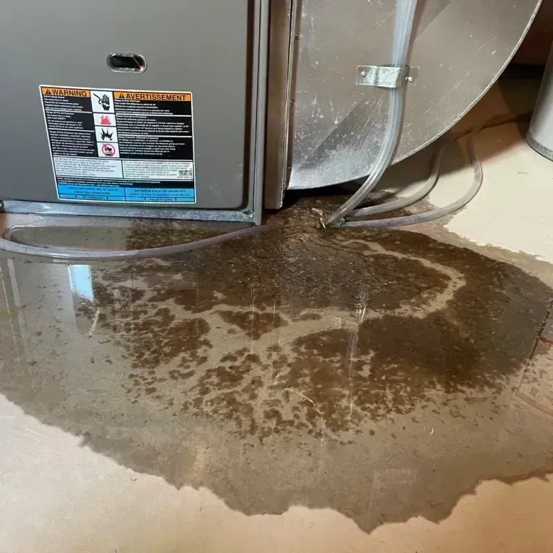 Appliance Leak Cleanup in Ordway, CO